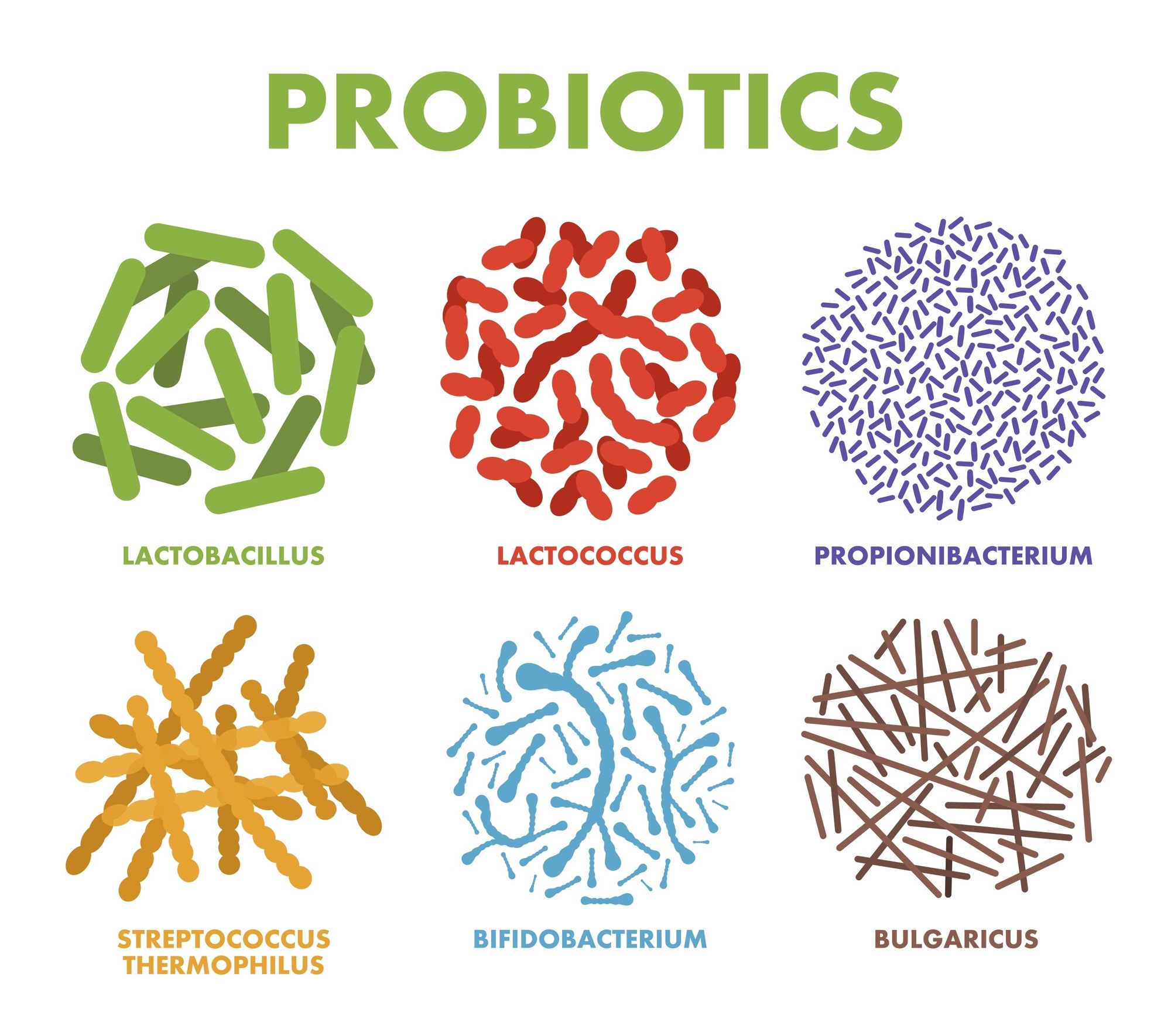 Бактерии человека название. Пробиотики с несколькими бактериями. Пробиотики полезные бактерии. Хорошие бактерии. Полезные бактерии рисунок.
